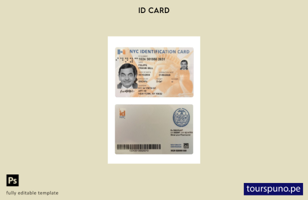 listo para imprimir plantilla de tarjeta de identificación de EE. UU. Nueva York